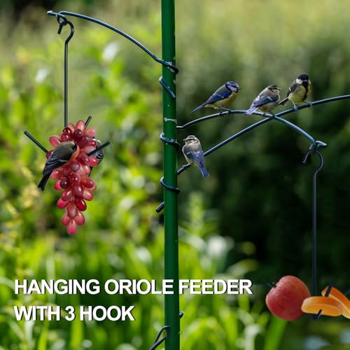 Zonon 2 Pcs Oriole Feeders for Outdoors Hanging Orange Jelly Fruit Holder for Birds with Hook Black for Outdoors Garden Patio (3 Prongs) - color: 3 Prongs