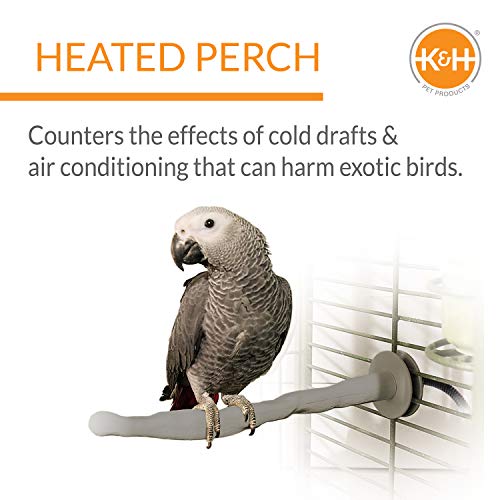 K&H Pet Products Thermo-Perch Heated Bird Perch for Cage, Bird Cage Accessory, Exotic Avian Warming Post for Med/Large Feathered Friends Like Parrot, African Grey, Cockatoo - Medium 1.25 X 13in 12V - size: Medium 1.25 X 13 Inches