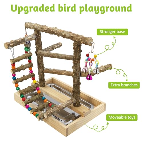 BNOSDM Natural Wood Bird Playground for Training & Playing, Parrot Perch Stand Jungle Gym with Hanging Bridge & Detachable Tray Parakeet Cage Playstand for Budgie, Cockatiel, African Grey - color: Bird Stand with Bridge