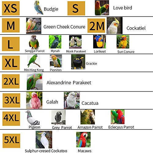 Bird Flight Harness Vest, Parrot Flight Suit with Leash for Parakeets Cockatiels Conures Budgies, Bird Flying Clothes with Rope and Handle for Outdoor Activities Training, Anti Bite (L, Yellow)