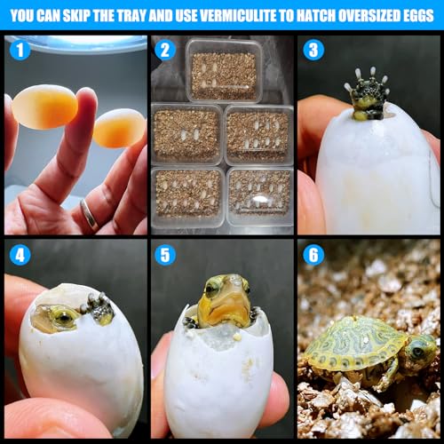 16 Grids Reptile Egg Incubator Box Turtle Lizard Gecko Snake Hatching Container Complete Kit with Tweezers Clip Vermiculite Spray Bottle