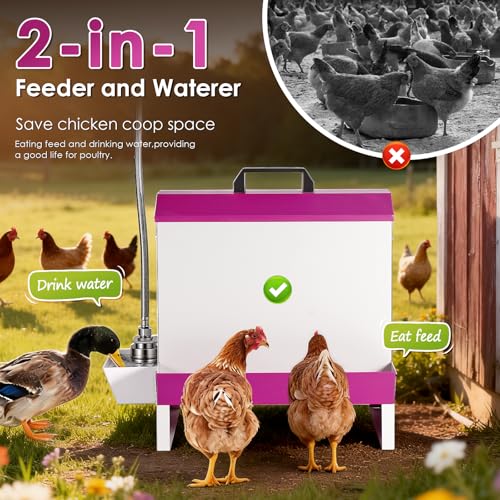 25Lb Metal Chicken Feeder and Waterer Set Automatic No Waste Galvanized Poultry Duck Feeder with Auto Water Dispenser for Outdoor Coop