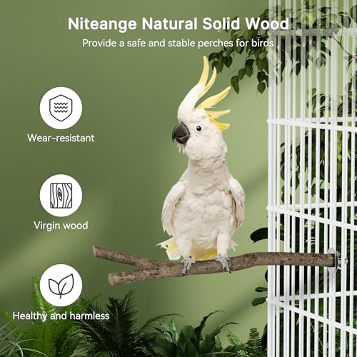 Niteangel Natural Wooden Perches for Bird Cages - Ideal for Cockatiels, Parakeets, Finches & Other Caged Birds (Natural Bark, 2 Pack) - color: Natural Bark