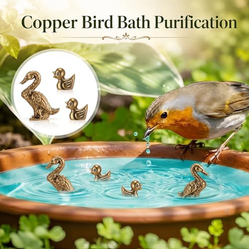 4 Pcs Mini Bird Bath Copper Ornaments Bird Bath Purification Disk Birdbath Cleaner Single 1 oz Weight Universal Fit for Outdoor Birdbaths, Bowl (Duck) - style: Duck