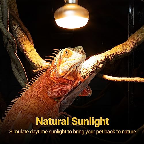 REPTI ZOO 2 Pack Heat Lamp 150W, Intense Basking Spot Simulated Natural Sunlight Heating Lamp Bulb, Heat Emitter UVA Heat Lamp Bulb for Reptile Chickens Pet Brooder - style: Natural Basking Light Bulb 150W