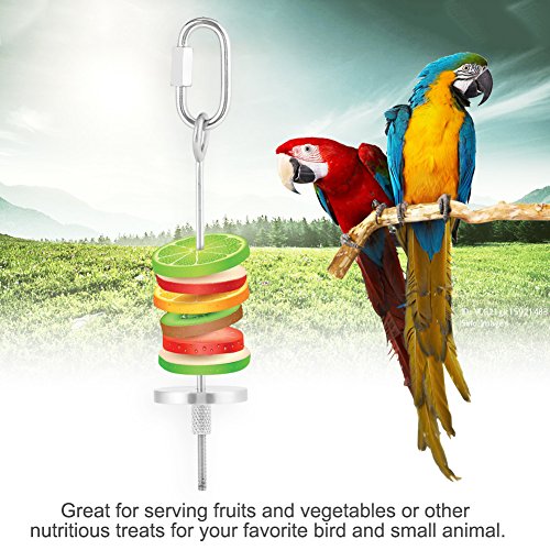 Bird Fruit Holder Skewer, Durable Stainless Steel Treat Feeder for Bird Cages Small Pets Silver 22cm 1 Pack