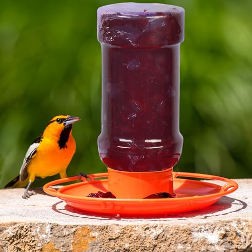 Perky-Pet Wild Oriole Jelly Bird Feeder, 32oz Capacity | Built-in Stirrer with Large Circular Feeding Tray, Wraparound Perch, Outdoor Garden Décor for Backyard Birding & Wildlife
