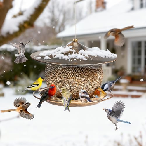 LBTING Bird Feeder, Wild Bird Feeder, Round Lantern-Shaped | Metal, For Hanging Outside Outdoors Garden Yard - style: Round Large