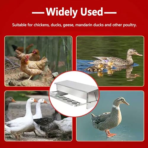 Automatic Chicken Feeder Treadle Chicken Feeder Trough Self-Opening Galvanized Steel Large Capacity Poultry Feeder Outdoor Coop Food Dispenser with Rain Cover for Ducks Bantams(Size:Small - 56x18cm) - size: Small - 56x18cm