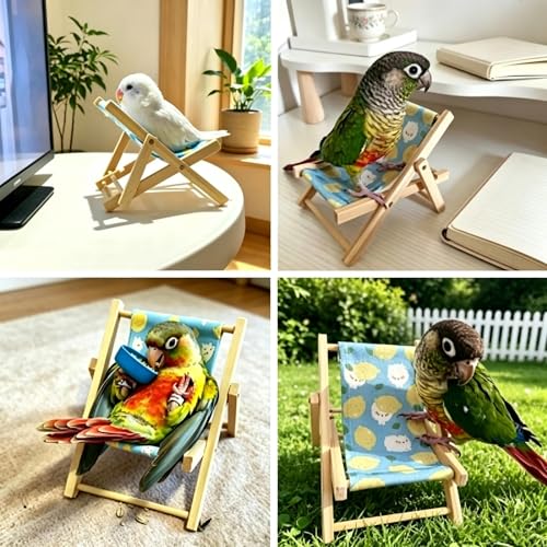 DRESSO Bird Toys for Parakeets Cockatiels Conures Lovebirds - 4PCS Parrot Training Toy Set with Mini Shopping Cart, Rattle, Ring Stacker & Beach Chair, Fun Bird Interactive Toys Set
