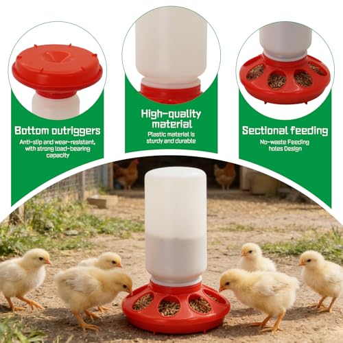 Chick Feeder and Waterer kit 1L Drinker & Feeder for Chickens Broilers,& Birds Quail Pigeon