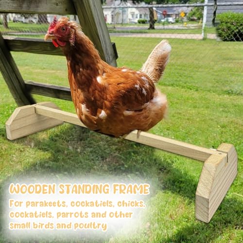 2pcs Wooden Chicken Perch Roosting Bar Chick Jungle Gym Perch Stand for Large Bird Baby Chicks Parots
