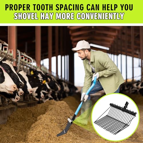 Tandefio 2 Pack Manure Fork Replacement Head Metal Pitchfork Horse Manure Rake Garden Pitch Fork Replacement Head with Angled Tines for Horse Stall Poop Picking up(Black) - color: Black