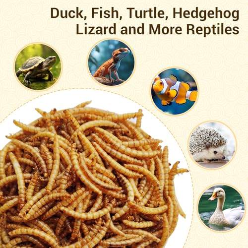 5lbs Dried Mealworms for Chickens Duck High Protein Birds Treat | Hand Inspected Poultry Feed, Wild Birds and Chicken Treats, Laying Hens & Bluebirds Food, Worms Fed a Clean Natural Diet - size: 80 Fl Oz (Pack of 1), style: Mealworms