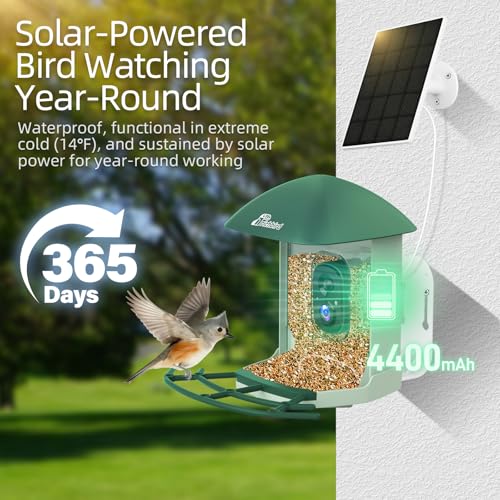 Smart Bird Feeder with Camera Solar Powered, 2.5K UHD Birdwatching Cam | Free AI Bird Identification, Instant Notifications & Auto Video Capture, 2.4G Wireless Outdoor Cam, for Mom Dad Birdlovers - color: Geen