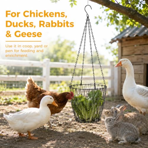 2 Pack Foldable Iron Hanging Chicken Feeder, 6.4 Inch Poultry Feeder Basket with Hanging Chains, Vegetable Hanging Feeder for Duck Rabbit Goose Coop Boredom Relief Toy