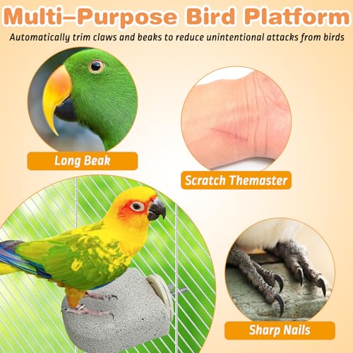 PINVNBY 8 PCS Bird Perch Bird Beak Grinding Stone Calcium Mineral Parrot Perch Foot Claws Trimmer Chew Toy Cage Accessories for Small Medium Budgie Cockatiel Conure Lovebird Finch - color: Grey, size: M, 8 pcs