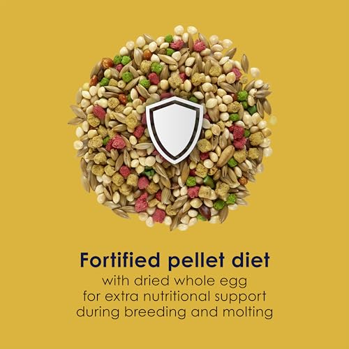 Kaytee Forti-Diet Pro Health Egg-Cite! Nourish+Protect Parakeet Bird Seed | Balanced digestion. Parakeet bird food with real egg. Parakeet food for breeding, molting, with prebiotics