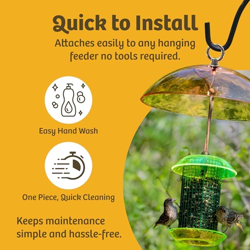 Birds Choice Bird Feeder Dome with Hanger | 10.5in Rain Guard Cover, Clear | Domed Acrylic Outdoor Weather Guard for Hanging Feeders to Keep Seed Dry, Heavy-Duty Chrome-Plated Hanger and Hook - color: Clear