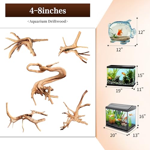 Natural Small Driftwood for Aquarium Decor Fish Tank Decor Reptile Decor | Assorted Driftwood Branch, Natural Driftwood for Aquascaping and Reptile Decor - size: Spiderwood 4 to 8 Inch(Pack of 5)