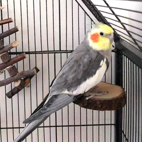 Hamiledyi Perch Platform for Bird Cage,Natural Round Wooden Stand Platform Bird Toy for Canary Parakeet Cockatiel Parrot Budgie Sparrow(3 Pcs) - size: 3.5in