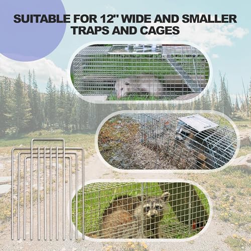 Trap Cage Divider Stainless Steel Divider for 10" and 12" Wide