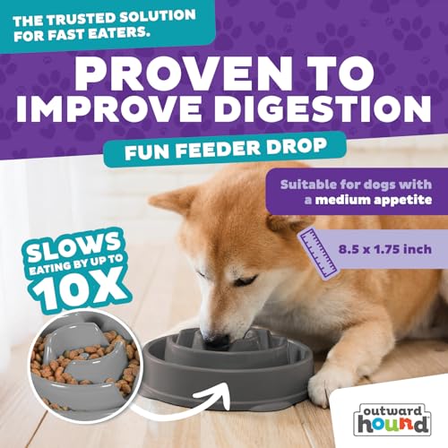 Outward Hound Fun Feeder Slo Bowl – Medium 2‑Cup Capacity,Slow Feeding,Small to Medium Dogs & Cats,Non-Slip,Gray,Drop Pattern,(Pack of 12) - color: Gray, size: Medium (Pack of 12)