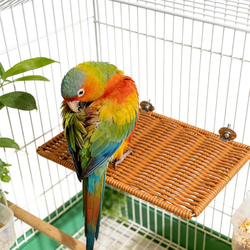 Title: Bird Perch Platform Small Animals Perch Stand Rectangle Breathable Cage Accessory for Cockatiel Parrot (Brown)