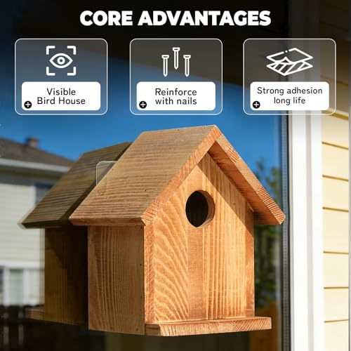 Window Bluebird House for Outside, Birdhouses with Weather Treated | 2 Hanging Hooks, Simple Installation, Easy to Clean, Outdoor Placement, Wild Bird Watching, for Garden, Patio, Fence
