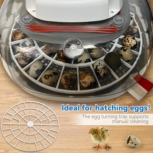 Enhon 48 Egg Tray Compatible with Nurture Right 360 Incubator, Plastic Egg Turner Tray Replacement for Hatching Small Quail Bird Chicken Goose Turkey, Hand Washable, Various Sizes