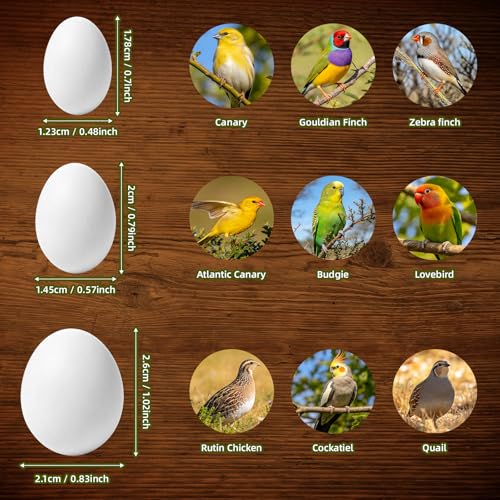 30 Pcs Solid Plastic Dummy Bird Eggs for Pet Bird Stop Laying Hatching | Offered in 3 Sizes,Set Includes Woven Nest and Pad,Suitable for Budgie,Cockatiel,Pigeon,Quail,Canary and Finch