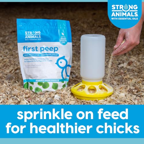 First Peep Chick Feed Supplement with Oregano Oil 2 lb | Non-medicated, Organic oregano oil, Kelp & prebiotics, Helps chicks start eating sooner, Supports early digestive health