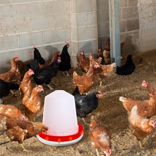 MEWTOGO Chicken Water Heater for Winter - 75W Energy Saving Chicken Coop Accessories, Thermostatically Controlled Poultry Waterer Heated Base for 1-3 Gallon Poultry Fount