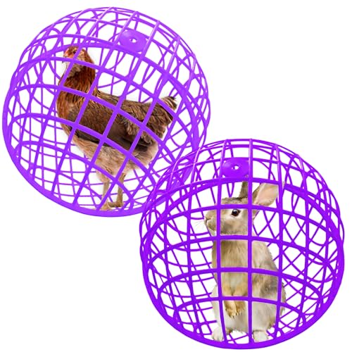 15.7" Ball-Shaped Movable Chicken Coop,Pigeon Rabbit Duck Safe Walking Net,Preventing Trampled by Horse,Predation by Eagles,Dog Bites.Pet Removable Prevent Harassment Safety Hutch(2 Pack) - color: Purple(2 Pack)
