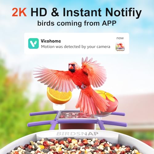 birdsnap® PAV Bird Feeder with Camera Solar Powered 2K Live Video 64GB Card | AI Bird Species Identification, Instant Arrival Alerts, IP65 Waterproof, Wild Bird Feeders for Outdoors, Gift for Bird Lovers - color: Purple