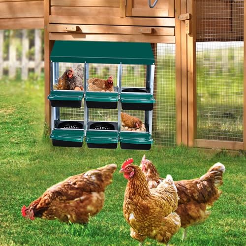Chicken Nesting Box，Green 6 Hole Chicken Laying Box, Tray for Easy Egg Collection, Large Holes for Ventilation, Suitable for Chickens & Ducks - color: Green, size: 31.9"L x 20.5"W x 31.1"H