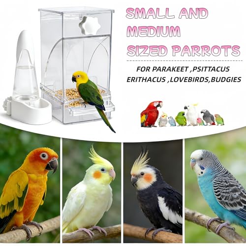 Automatic No Mess Bird Feeder and Water Dispenser Set, Acrylic Food Container and Drinker Bowl for Parrot Cage, Easy Clean Accessories for Parakeets Cockatiels Lovebirds and Other Small Pets