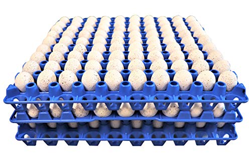 12 90 Egg Plastic Trays Quail Pigeon Dove Bird Flat Carton