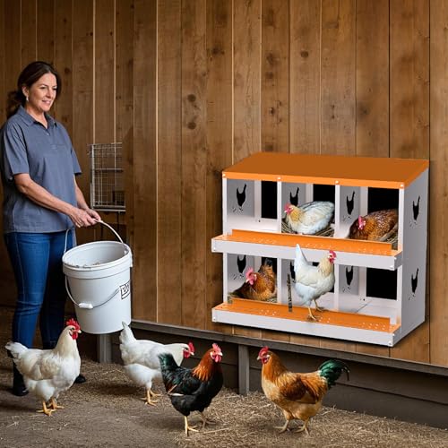6 Compartment Galvanized Metal Chicken Nesting Box, Easy Install & Clean Roll Out Egg Laying Boxes for Backyard Chicken Coop, Anti-Rust Egg Protection Nest,Orange - color: Orange, size: 6 holes