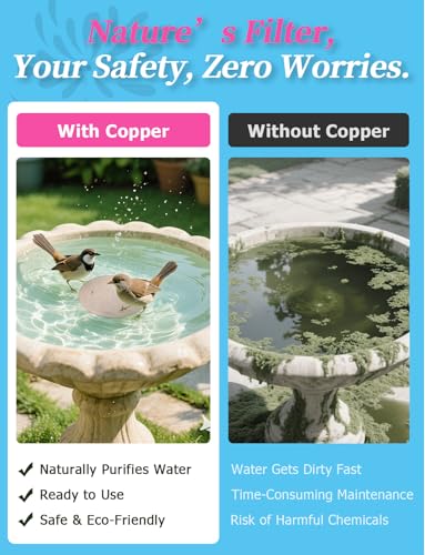 Mellbree 2-Pack Bird Bath Purification Disk, 99.99% Pure Copper Disc Cleaner Safe for Outdoor Bird Bath, Solar Fountains and Concrete Bowls - Bird-Safe Gift for Bird Lovers 0.6mm (Sunflower Pattern) - color: Copper-Sunflower