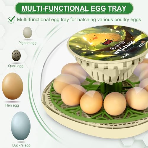 Smart Chicken Incubators for Hatching Eggs with Automatic Turner Small Poultry Duck Quail 12 Egg Incubator Temperature Control Display Hatcher Machine (Chirvy) - color: Chirvy