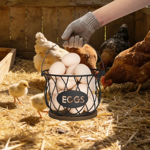YINMIT Chicken Egg Basket, Round Egg Collecting Basket for Gathering Fresh Eggs, Farmhouse Wire Egg Basket with Handle, Egg Collector with Heavy Base for Kitchen Countertop