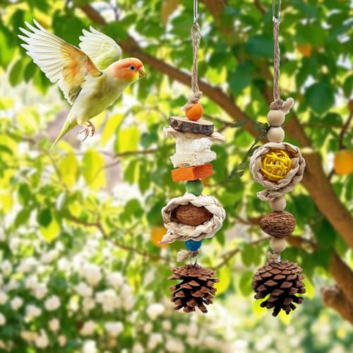Natural Bird Chewing Toys with Pinecone Nuts and Corn, Wooden Cage Toy for Small to Medium Sun Conure Budgerigar Pacific Parrotlet