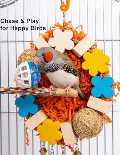 12 Pack Bell Chew Toy Balls for Parakeets Cockatiels Bird Cage Play Toys | Made of BPA Free PP Plastic, Built In Bells, 12 Mixed Shapes, Smooth Safe Edges, Fit All Standard Bird Cage Spaces