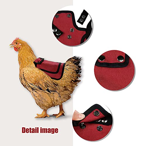 Chicken Saddle for Hens, Poultry Saver with Adjustable Strap, Feather Protector for Back and Sides, Outdoor Hen Apron
