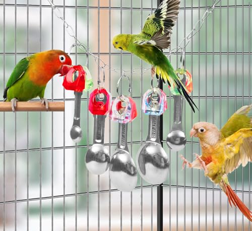 Bird Chew Toys, Parrot Toys, Spoon&Ring Toy for Small/Medium Birds | Steel Chain Spoons, Acrylic Rings, Bird-Safe Toy, Hangs Securely, Mental Stimulation; For Macaws, Cockatoos, Greys & More
