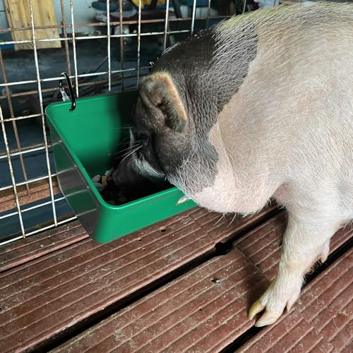 Large Feed Trough and Goat Feeder - 2 Pack Hanging Feeder with Clips, Waterer Bucket, Fence Feed Trough, Goat Supplies, 10 Quart - color: Cyan