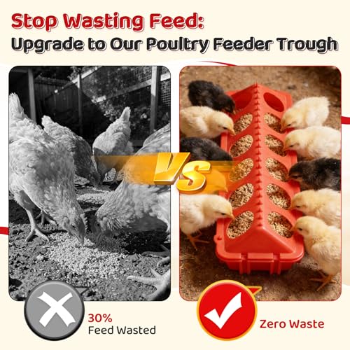 2 Pack Flip Top Chick Feeder Trough 12 Holes Holes No Waste Spill Proof