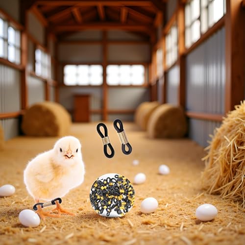 50 Pcs Black Baby Chick Splay Leg Hobble Chicken Leg Bands,Adjustable Chicken Hobble Braces for Spraddle Leg Repair Poultry Care Supplies,Bird Ducks Newly Hatched,Poultry Feeding and Watering Supplies