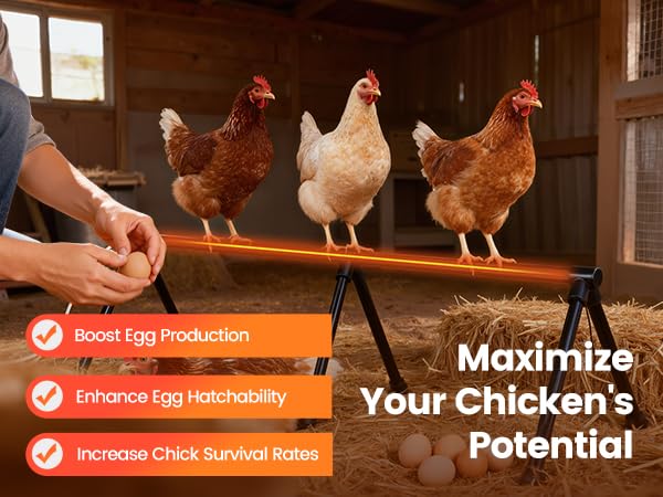 Heated Chicken Perch, Prevents Frozen Toes, Chick Warm Coop Accessories | Heated Roosting Bar for Chickens|Adjustable Temperature Heating Post for Chicken| Warming Chick Heater 2 Sections